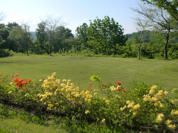キャンプ場
