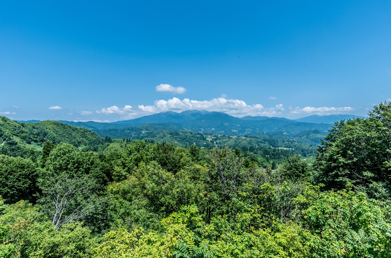 福山新田