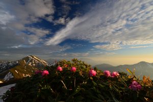 駒ヶ岳山頂より中ノ岳方面（星義廣氏撮影）