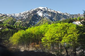 駒ノ湯からの駒ケ岳（星義廣氏撮影）