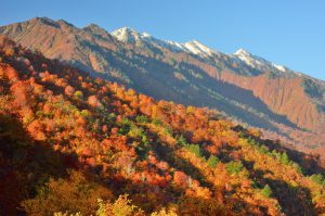 荒沢岳（星義廣氏撮影）