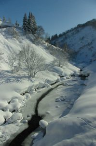 雪川